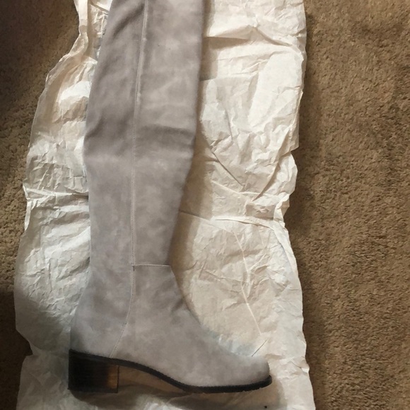 Stuart Weizman 5050 Stretch Suede Boots - Picture 4 of 6